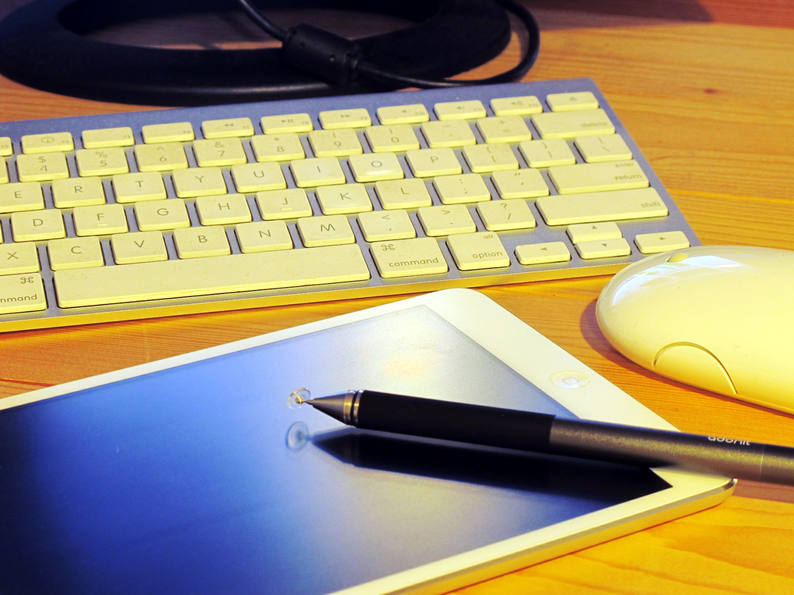 事業内容の写真